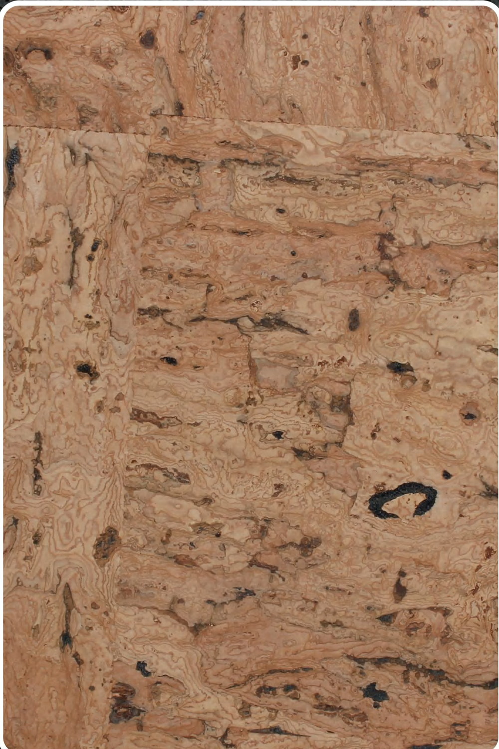 Close-up texture of flat cork wall panel K25-ZR211-S01H