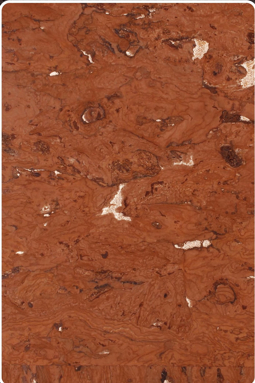 Close-up texture of flat cork wall panel K25-ZR211-S034X