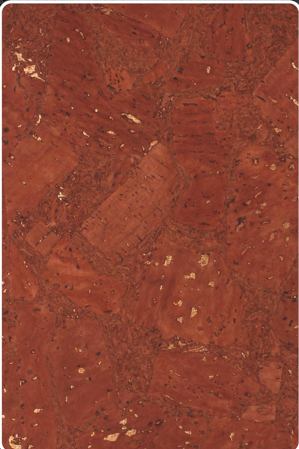 Close-up texture of flat cork wall panel K25-ZR213-S025J
