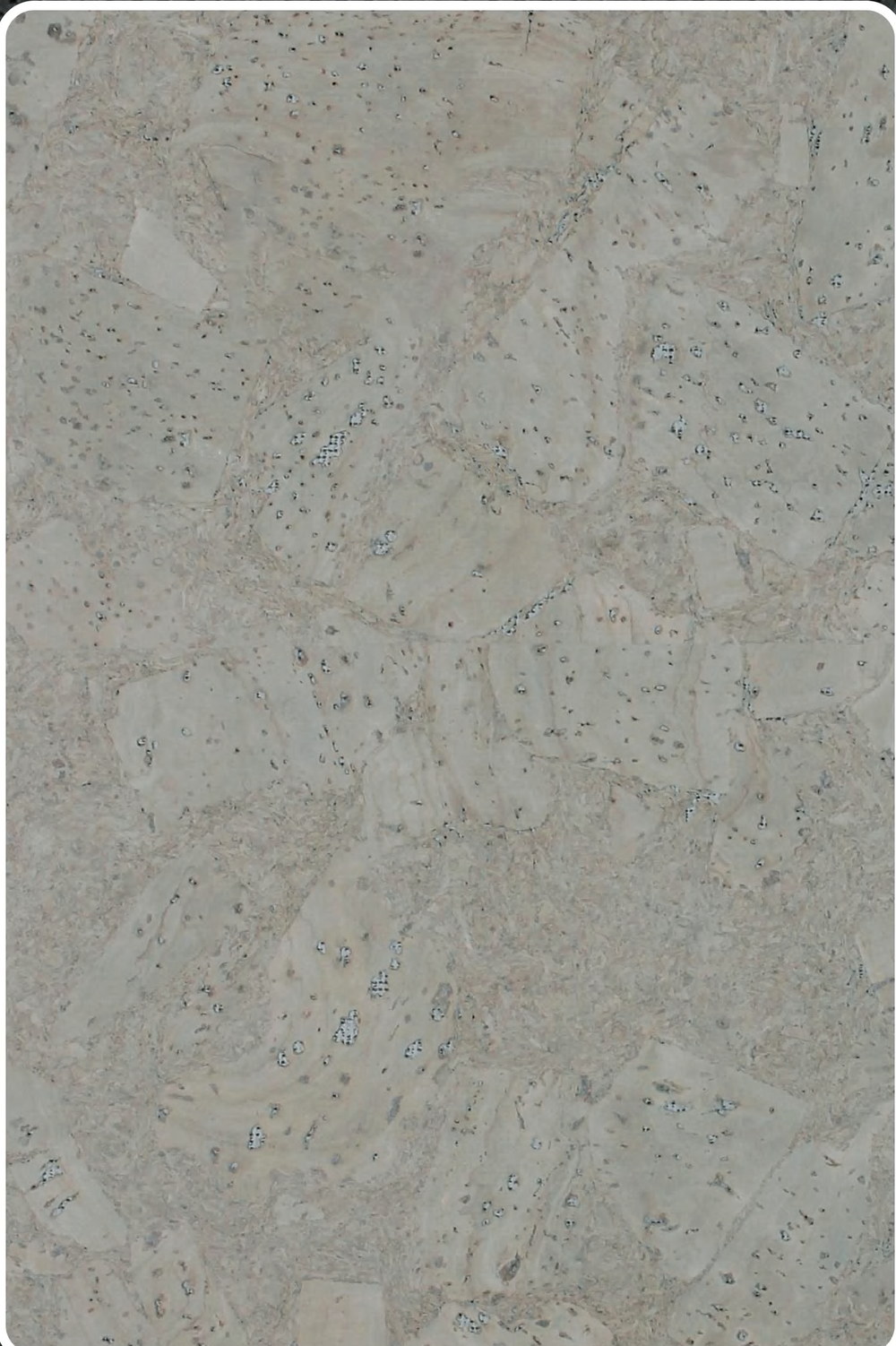 Close-up texture of flat cork wall panel K25-ZR213-S030
