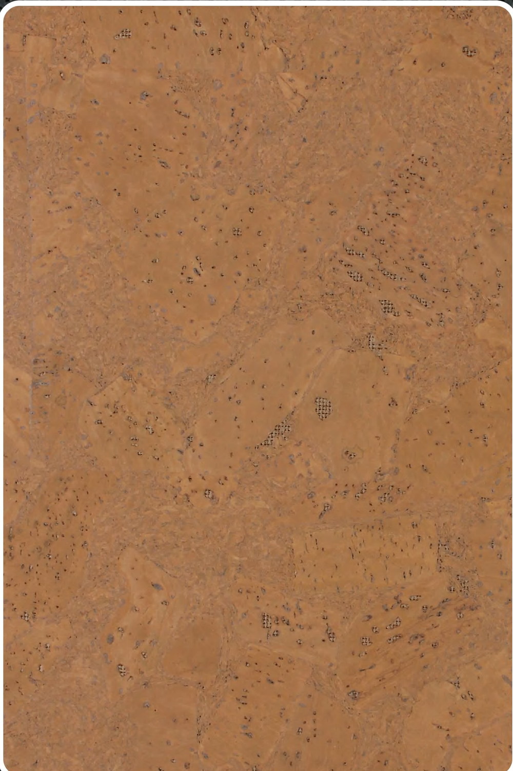 Close-up texture of flat cork wall panel K25-ZR213-S033