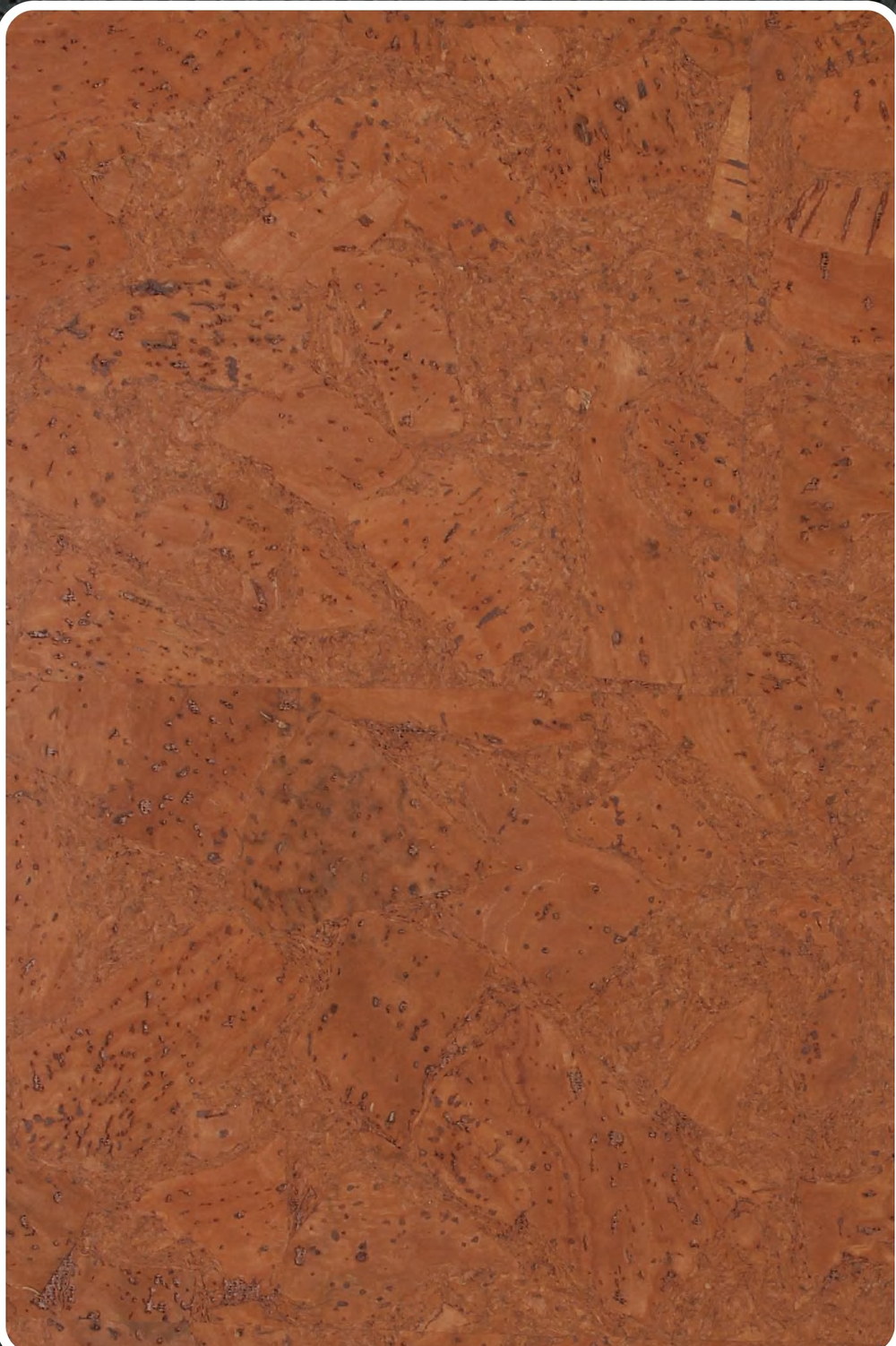 Close-up texture of flat cork wall panel K25-ZR213-S034