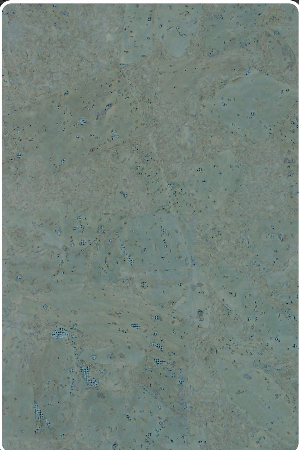 Close-up texture of flat cork wall panel K25-ZR213-S035