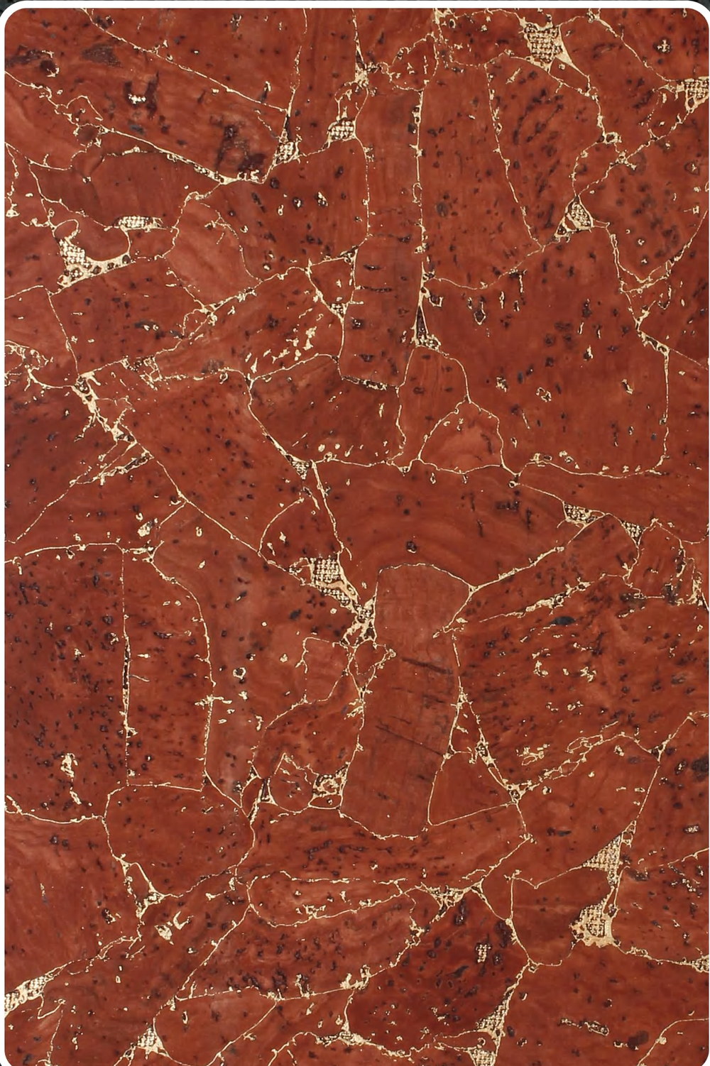 Close-up texture of flat cork wall panel YF241126-09