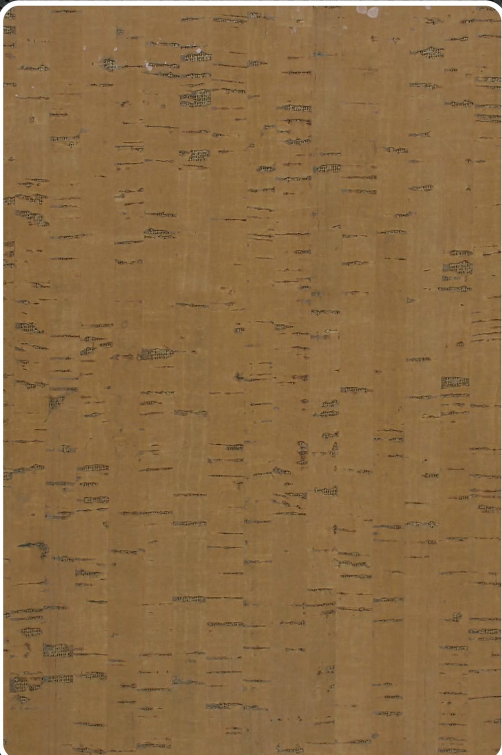 Close-up texture of flat cork wall panel ZR113-S33
